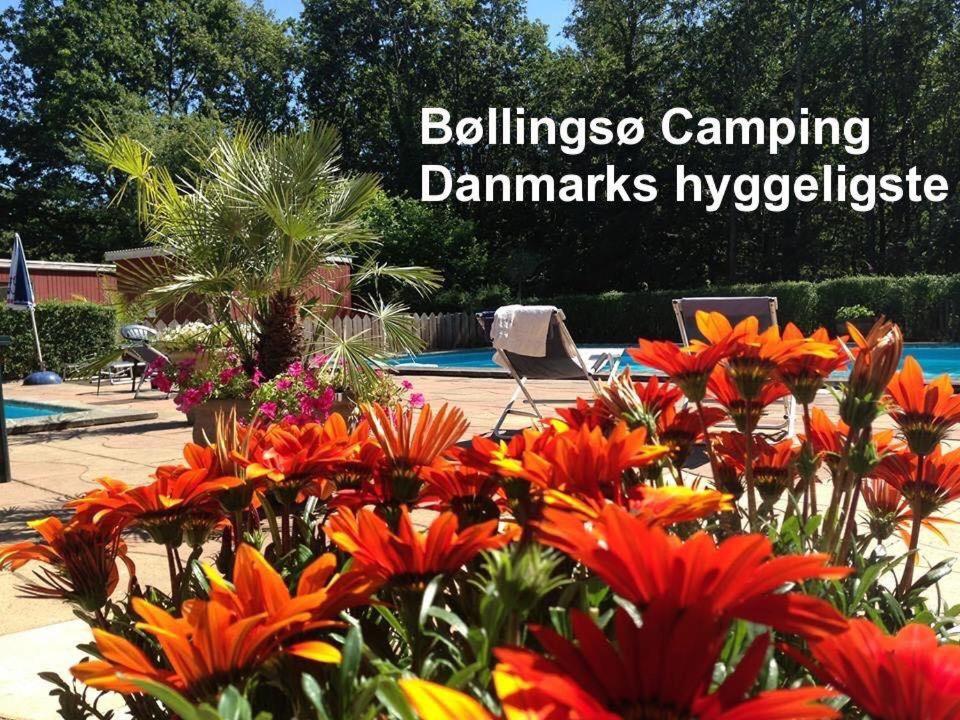 Bollingso Camping Engesvang Dış mekan fotoğraf